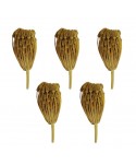 Khella" organic and ecological dried flower toothpaste