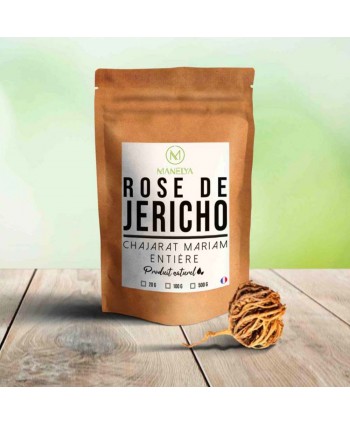 Roos van Jericho (Chajarat Mariam)
